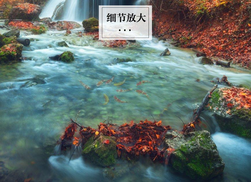 昆明市翠湖公园开展春节前安全应急演练