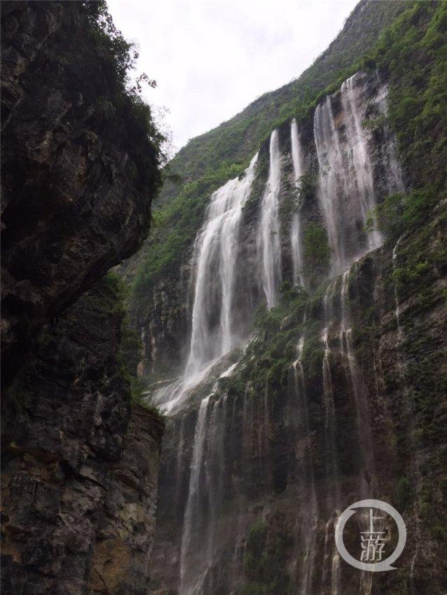 雨后盛放